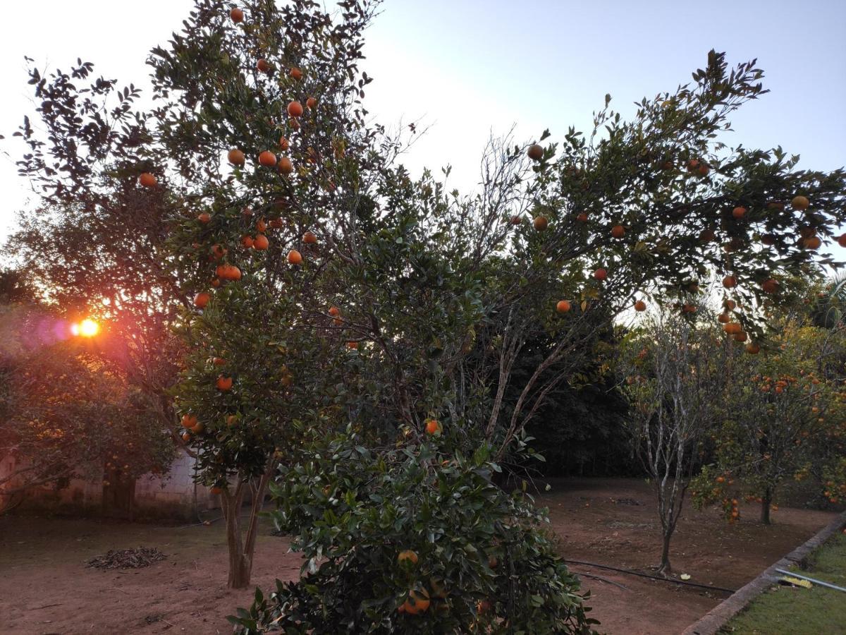 Casa De Campo Lazer Completo Paraiso De Reservas Naturais Em Sp Ibiúna Exterior foto